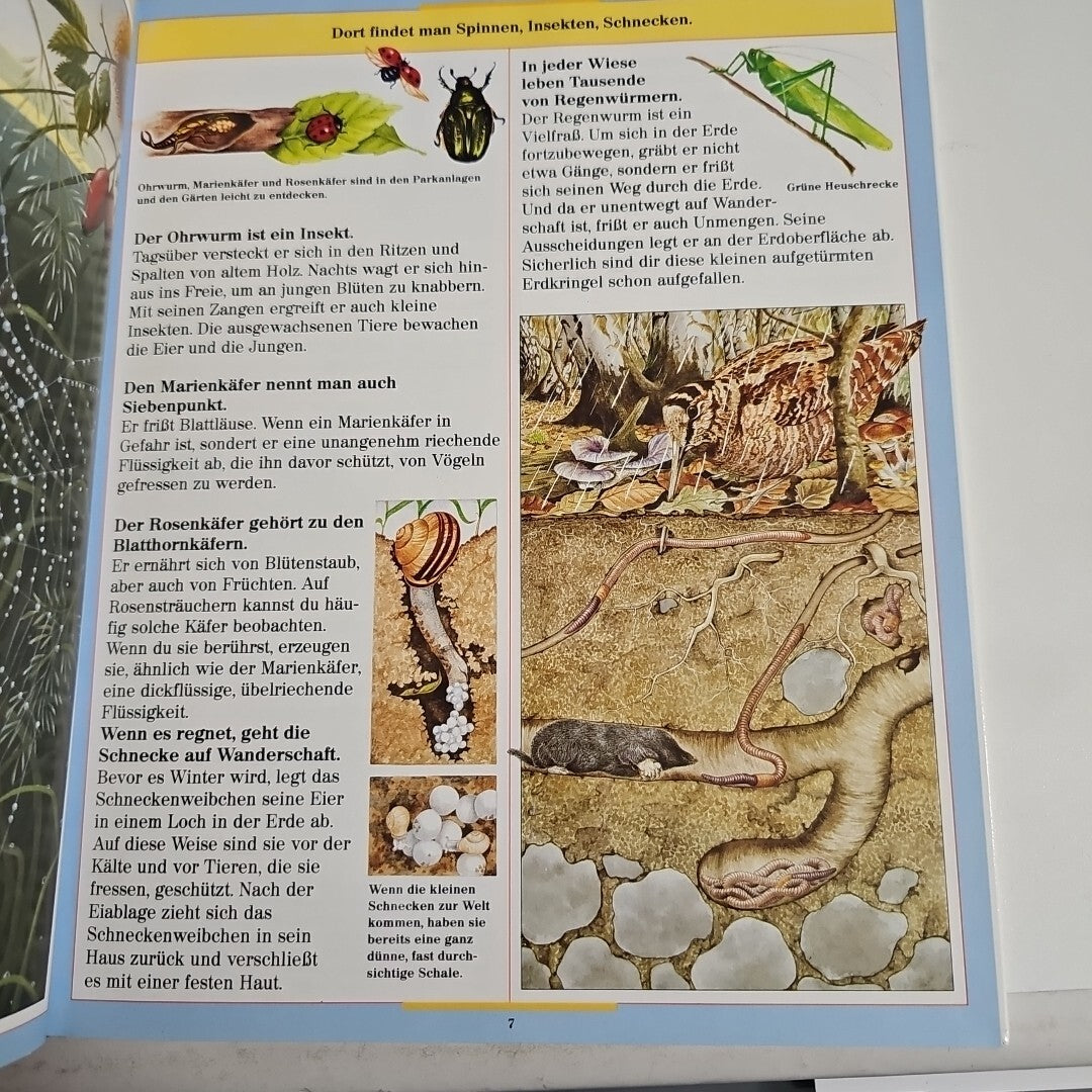 EB1742 Farbiges Wissen Die Tiere unserer Heimat Ravensburger2
