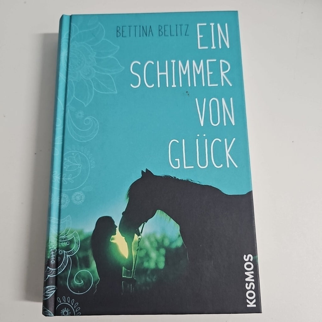EB1816 Ein Schimmer von Glück von Bettina Belitz (2017, Gebundene Ausgabe)0