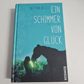 EB1816 Ein Schimmer von Glück von Bettina Belitz (2017, Gebundene Ausgabe)0