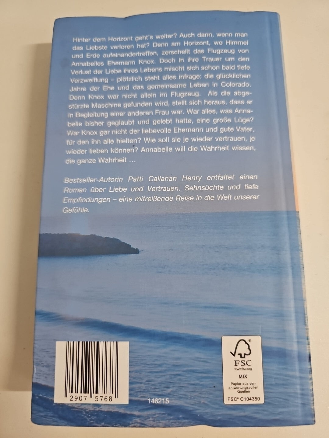 EB638 Patti Callahan Henry: Leuchtend wie der Horizont1