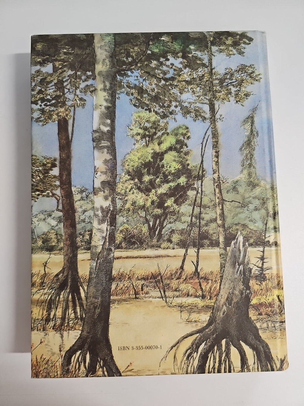 EB1306 Haaried Beecher Stowe Dred, Eine Erzählung aus dem Großen Schreckenssumpf1