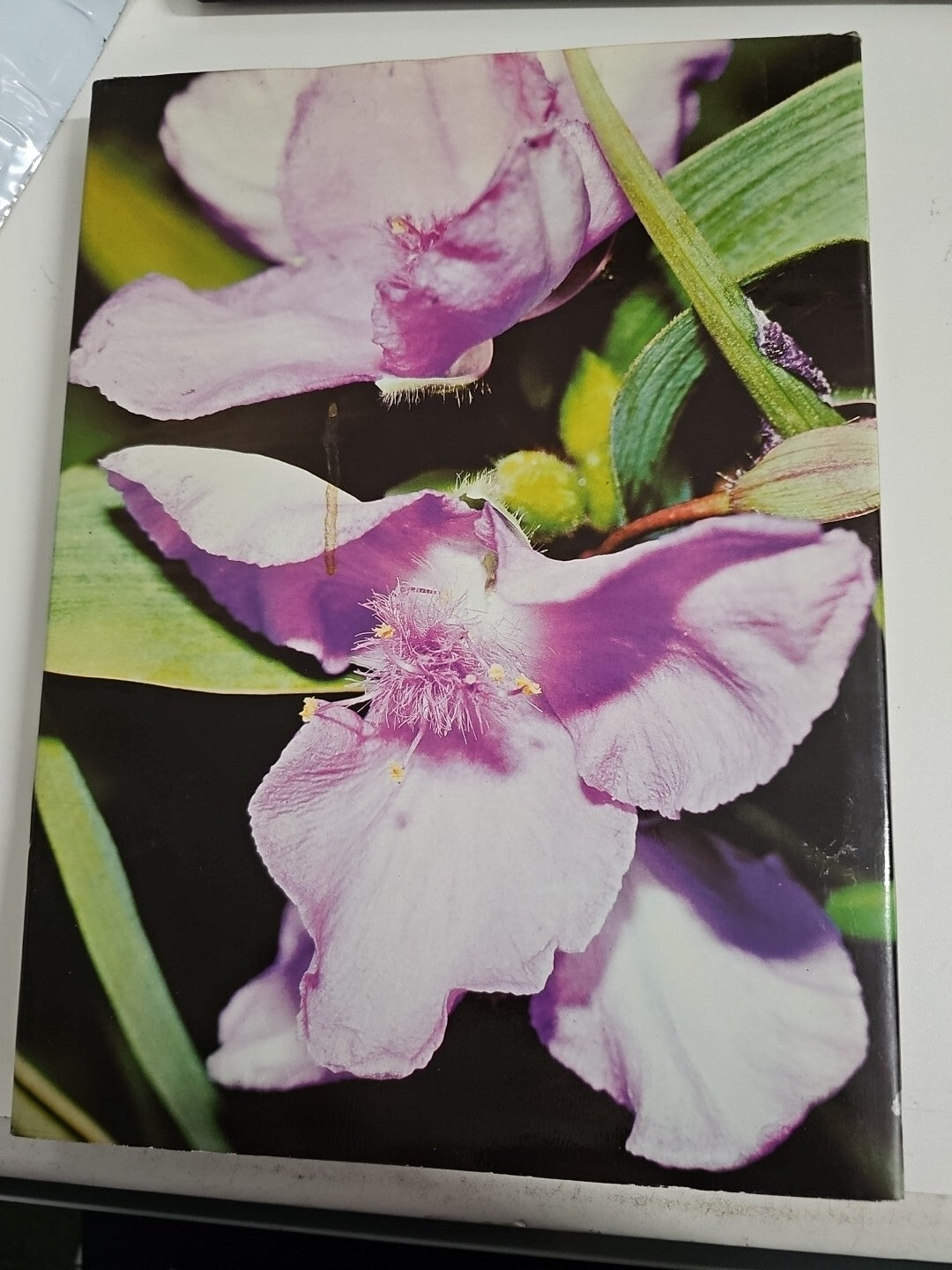 EB1505 Das geheimnisvolle Leben der Pflanzen Natur Buch Jaroslav Pazourek 2