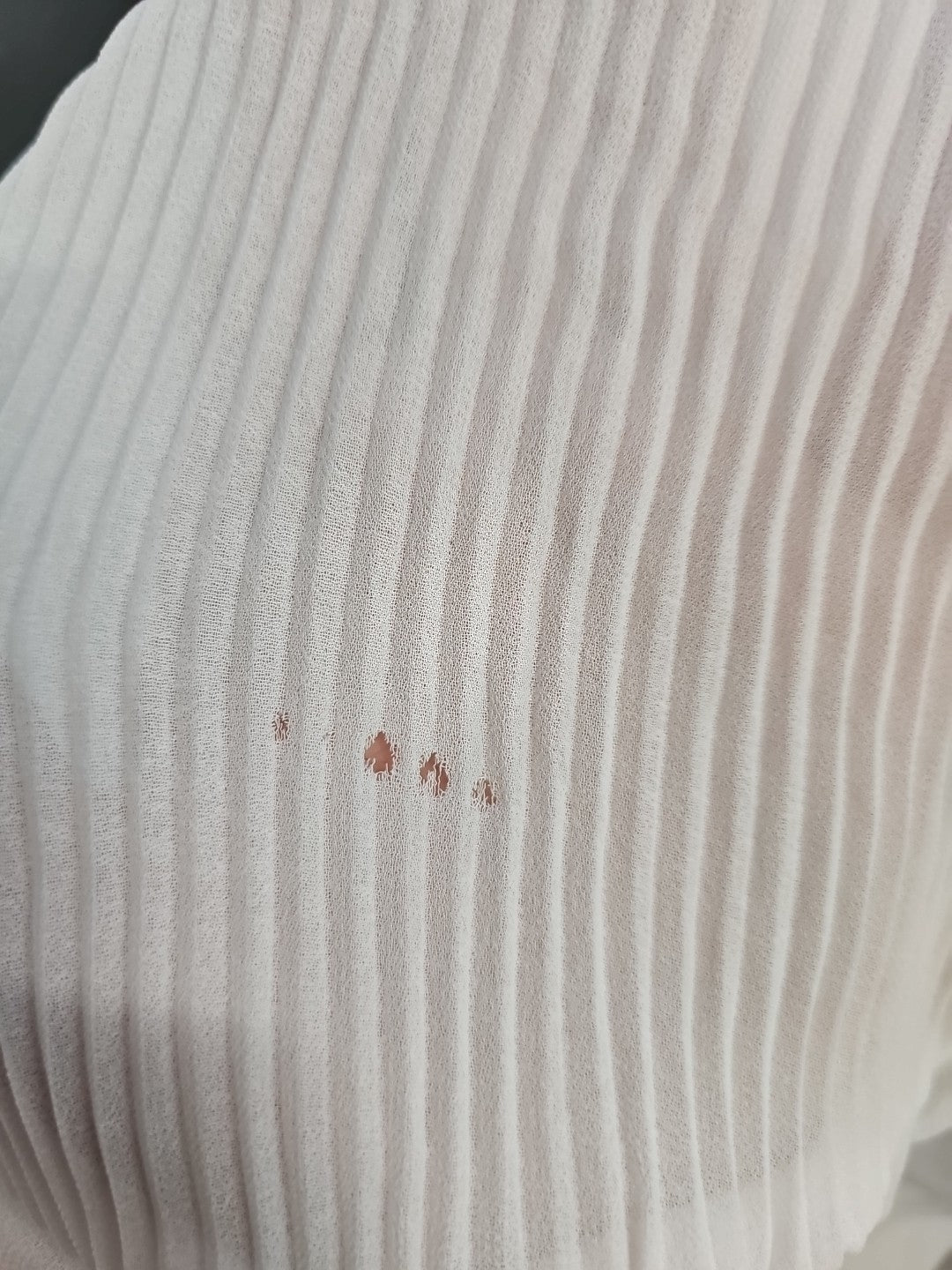 EK8624 Damen Bluse von Zara, Weiß, Gr. S6
