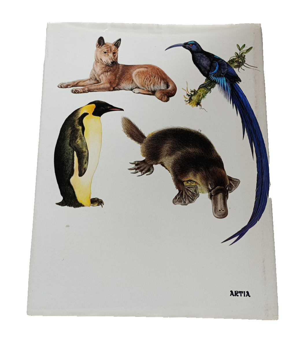 EB3408 Tierwelt Australiens1