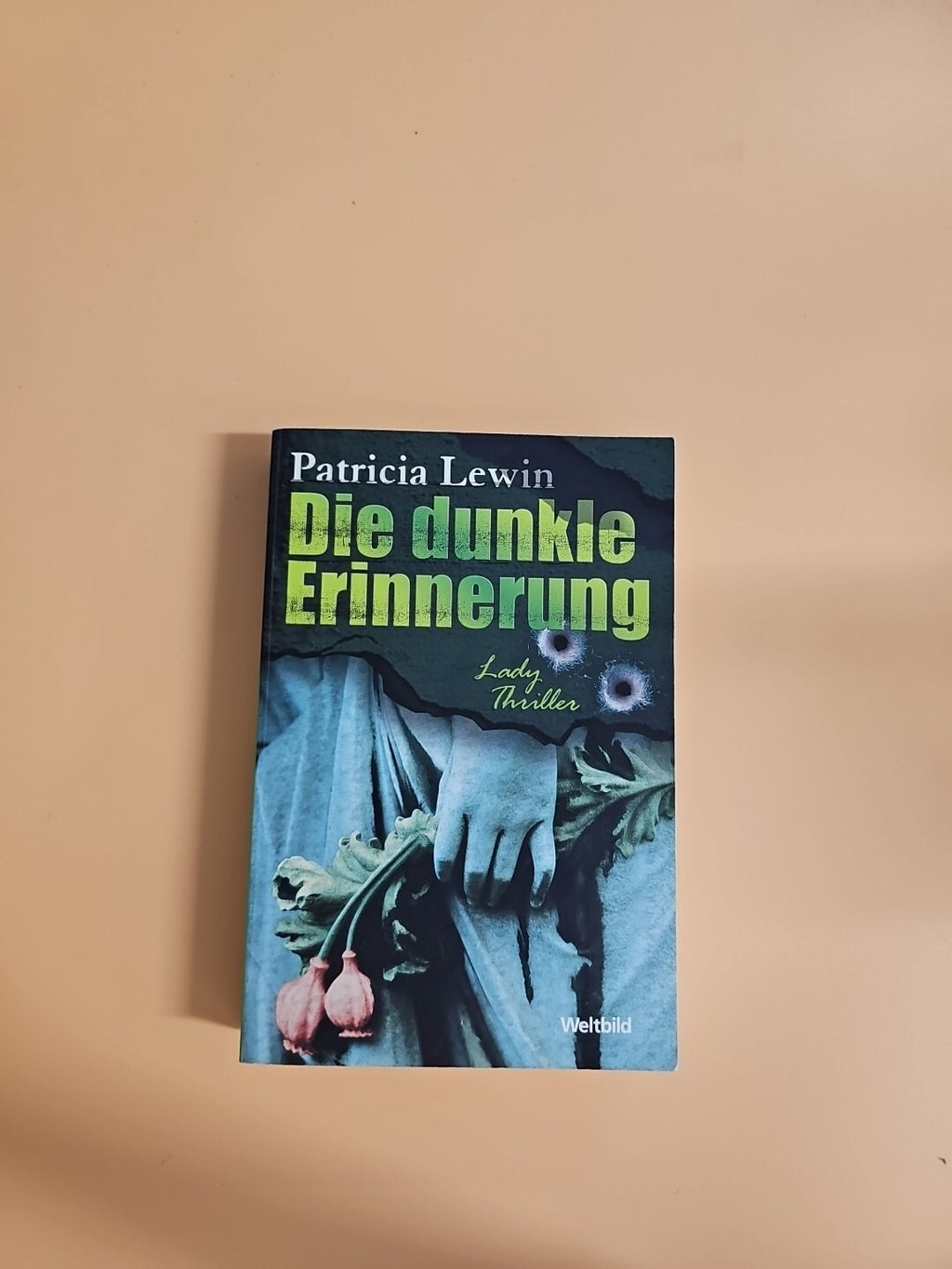 Die dunkle Erinnerung - Patricia Lewin (Lady-Thriller) 1280