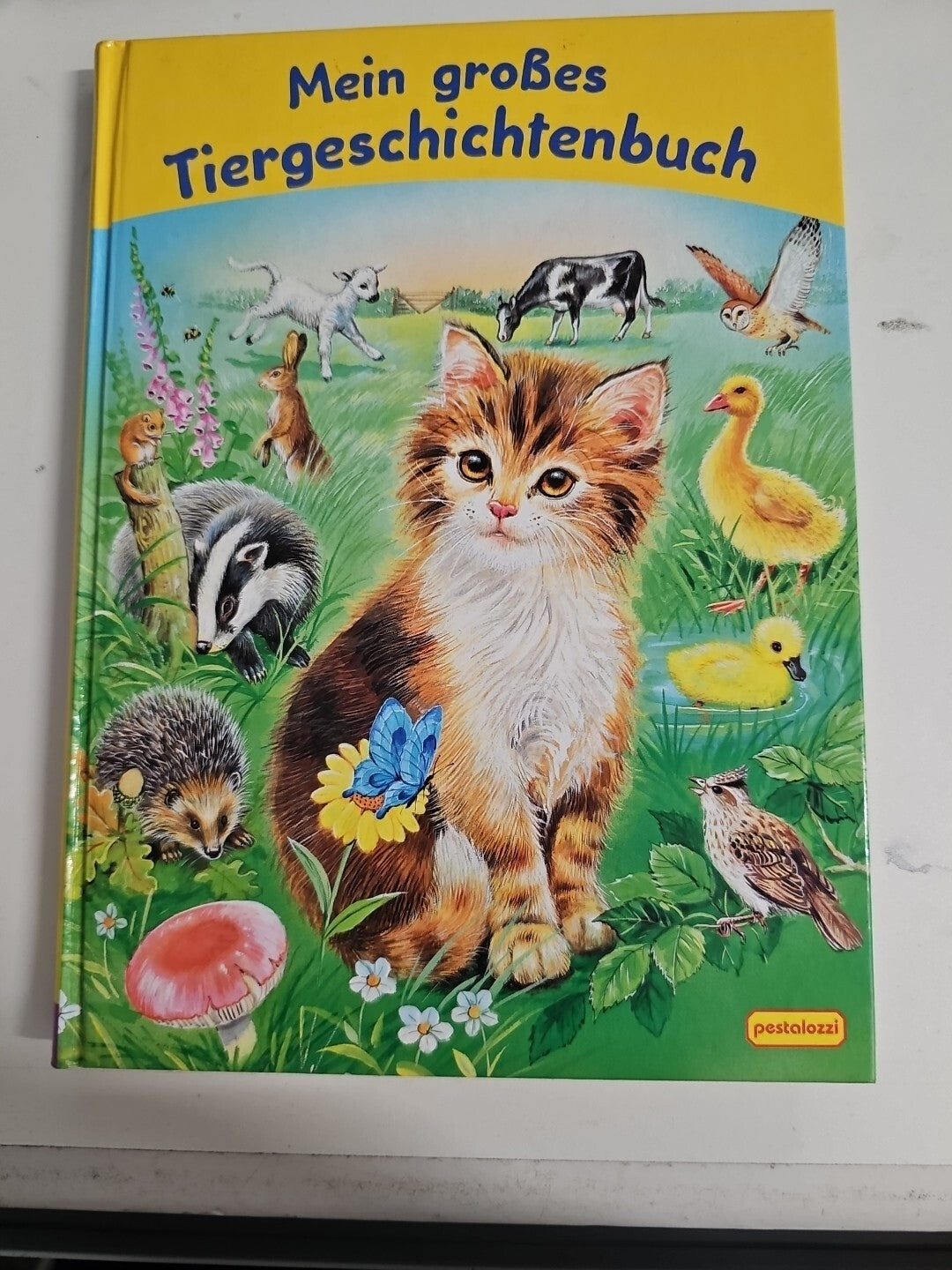 EB879 Pestalozzi  Mein großes Tiergeschichtenbuch 125 Seiten0