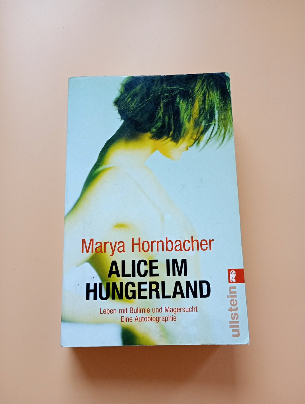 Alice im Hungerland von Marya Hornbacher (2010, Taschenbuch) 3950