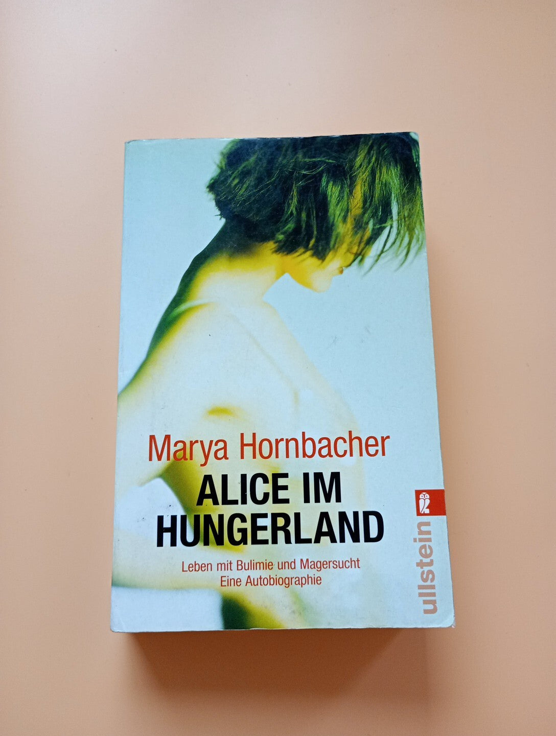 Alice im Hungerland von Marya Hornbacher (2010, Taschenbuch) 3950