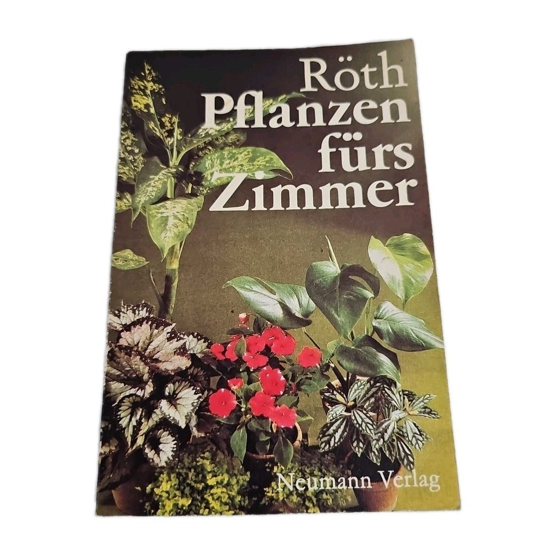 EB3914 Röth Pflanzen fürs Zimmer0