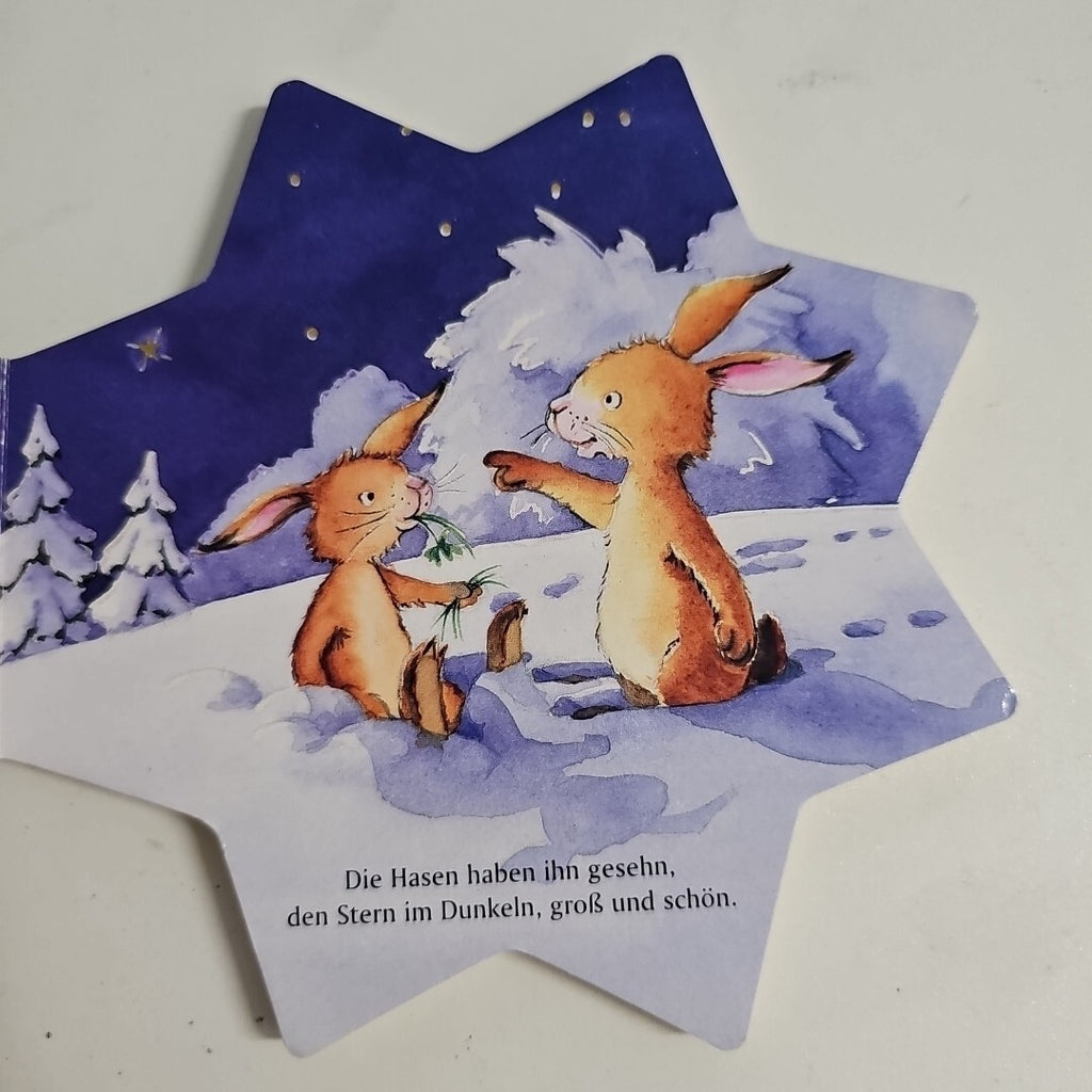 EB2096 Der Weihnachtsstern im Winterwald1