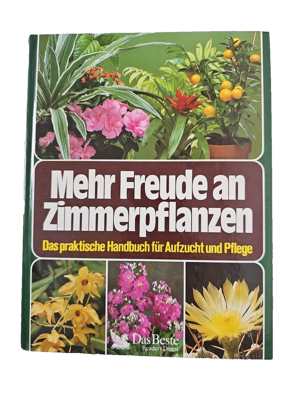 EB3374 Mehr Freude an Zimmerpflanzen/Buch/Pflanzen/Pflanzenratgeber0