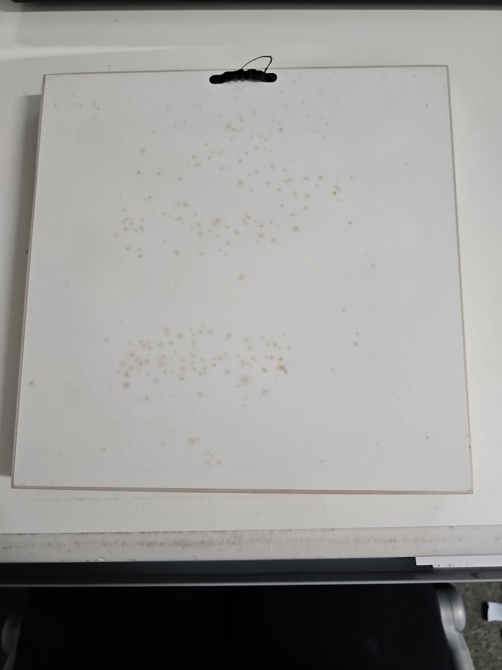 EB1512 Küchenbild-Birnen 26×261