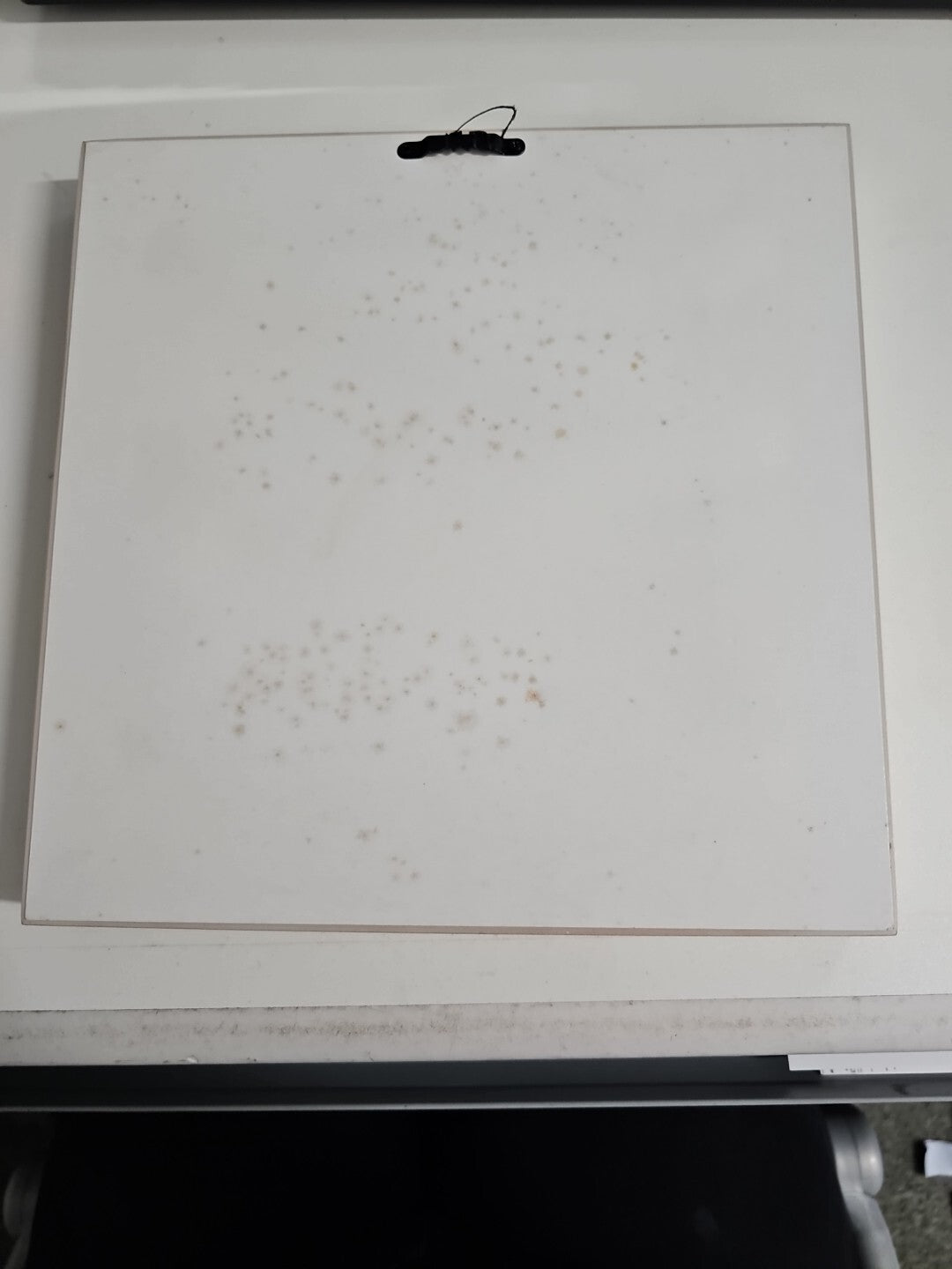 EB1512 Küchenbild-Birnen 26×261