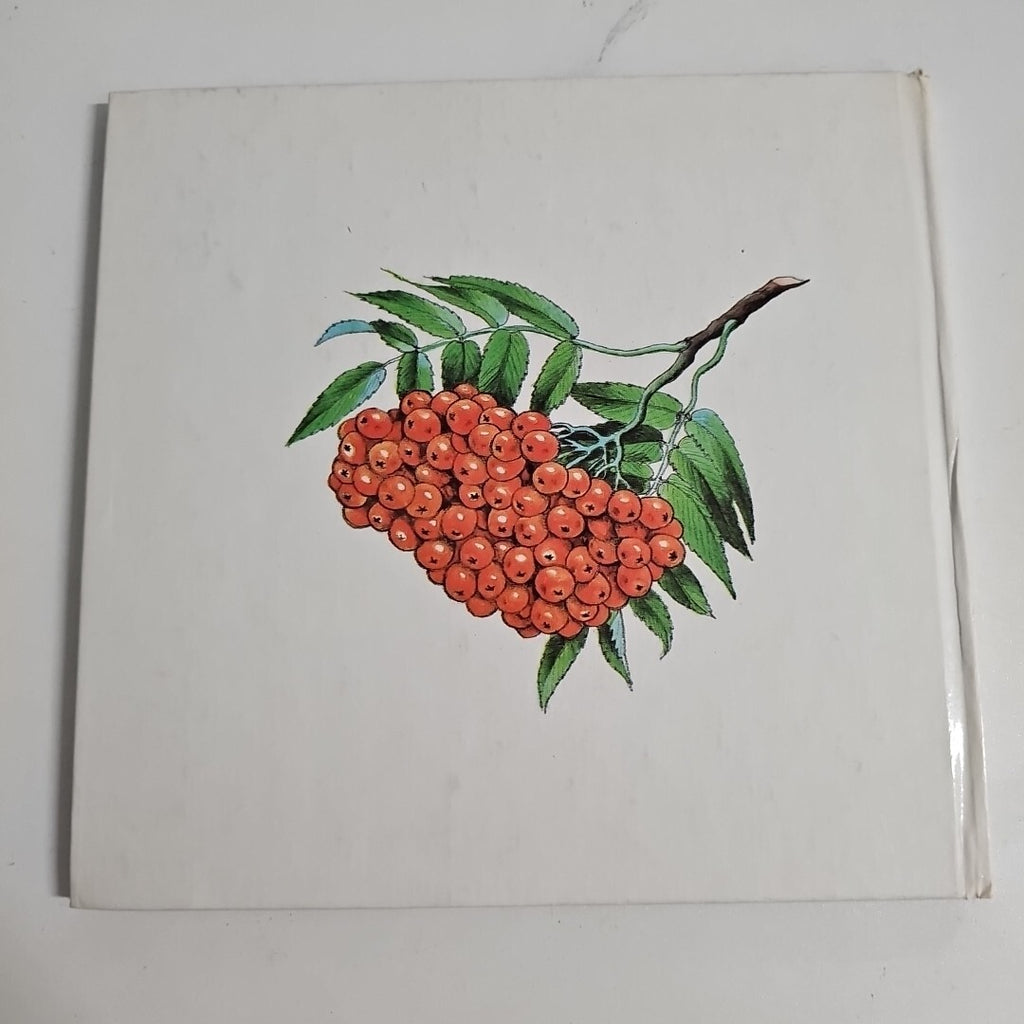 EB1644 Borstel Im Pilzwald1