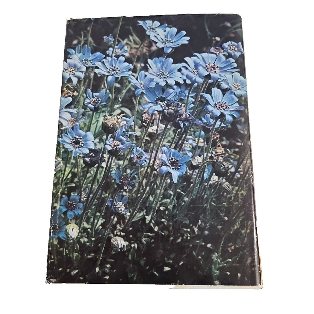 EB2810 Sommerblumen, Seyffert1