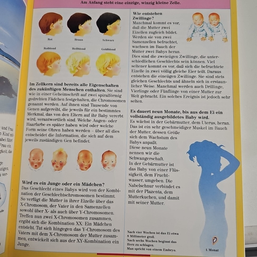 EB1734 Was mein Körper alles kann - Farbiges Wissen - Iréne Kuhn - Ravensburger2
