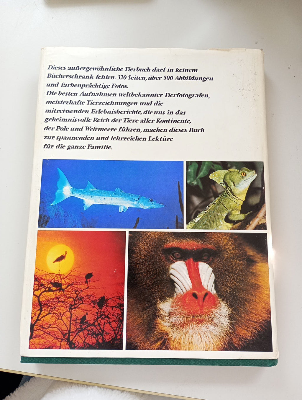 EB3404 Wunderwelt der Tiere - NEU und ungelesen - gepflegt1