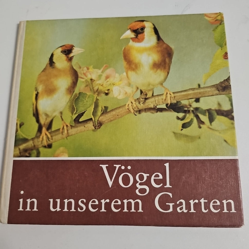 EB1765 Buch: Vögel in unserem Garten, Massny, Helmut Rudolf Arnold Verlag0