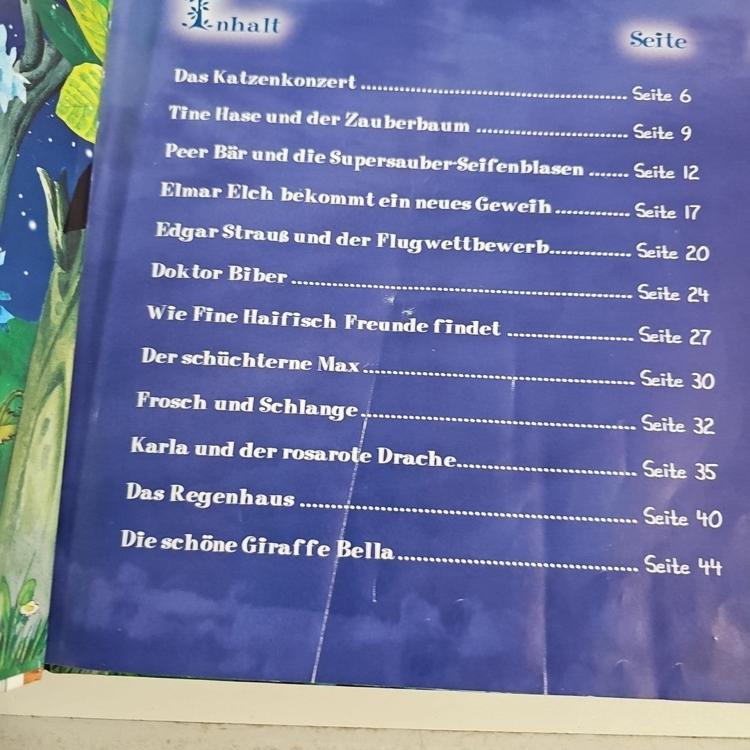 EB3009 Träume Schön mit... Geschichten von Prinzessinnen und Prinzen1