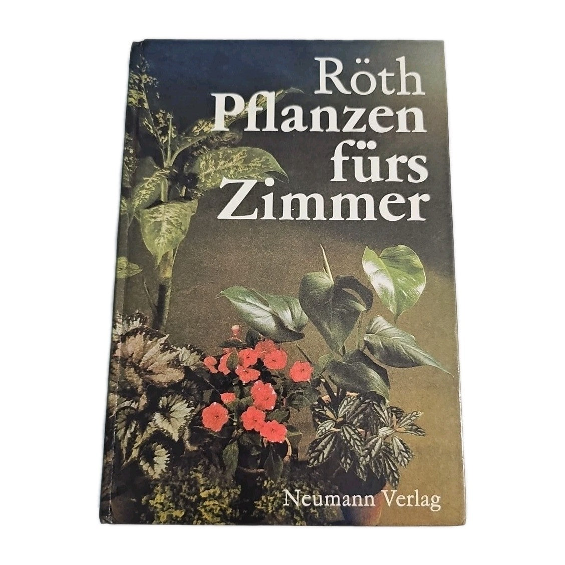 EK4260 Röth Pflanzen fürs Zimmer0