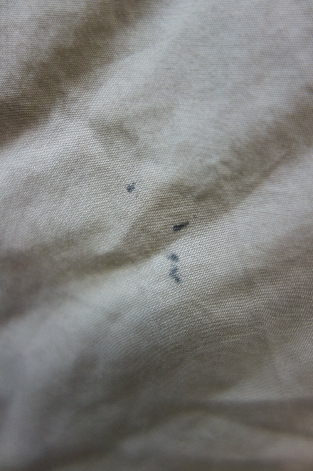 EK0067 Herren Hemd von S.Oliver, beige, 445