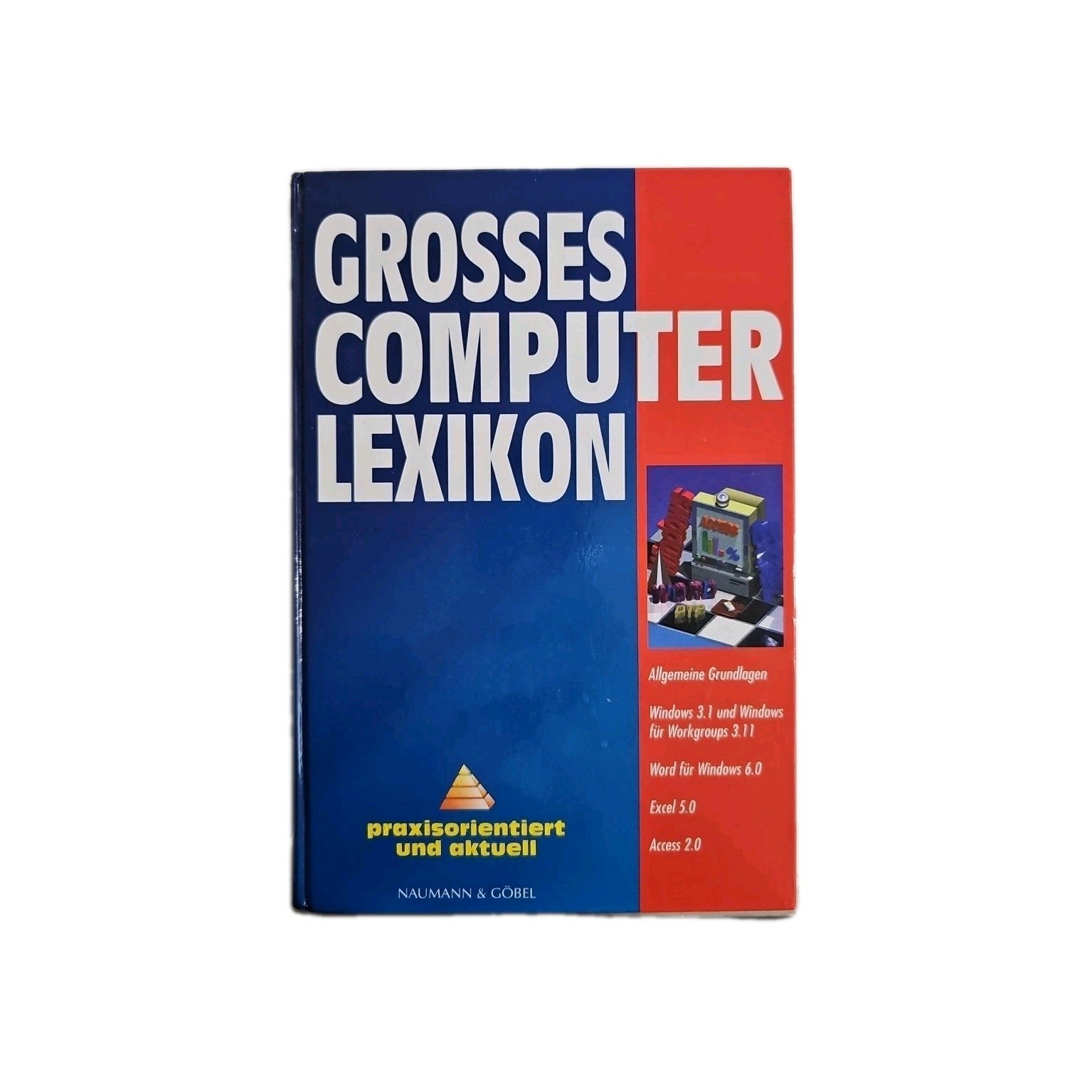 EB4369 Grosses Computer Lexikon   Naumann & Göbel gebunden Hierbei han0