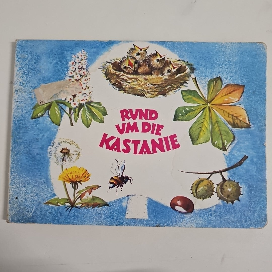 EB1894 Rund Um Die Kastanie Irene Geiling 0