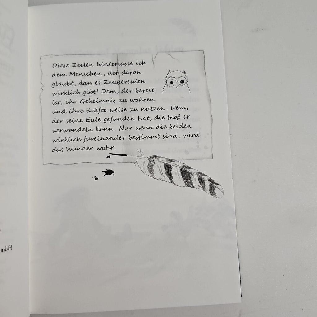 EB1885 Eulenzauber 06. Hilfe für das kleine Fohlen von Ina Brandt 1