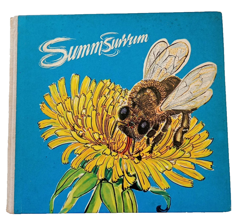 EB3593 Summ Summ0