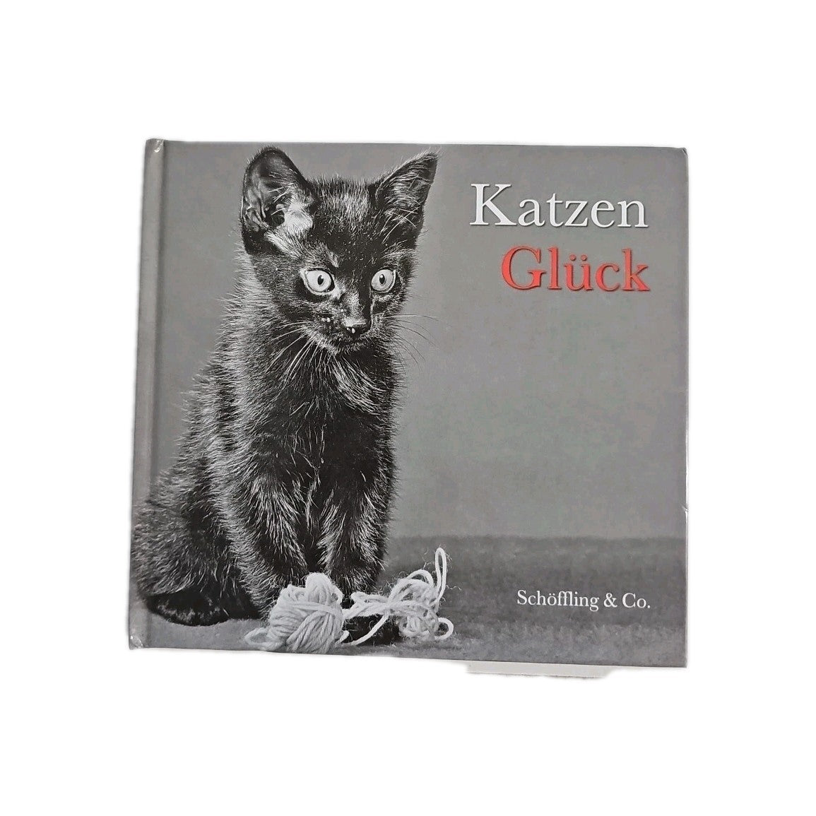 EB3720 Katzenglück (Gebundene Ausgabe)0