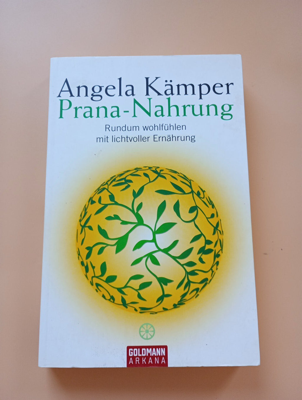 Prana-Nahrung: Rundum wohlfühlen mit lichtvoller Ernähru... | Buch | 4210