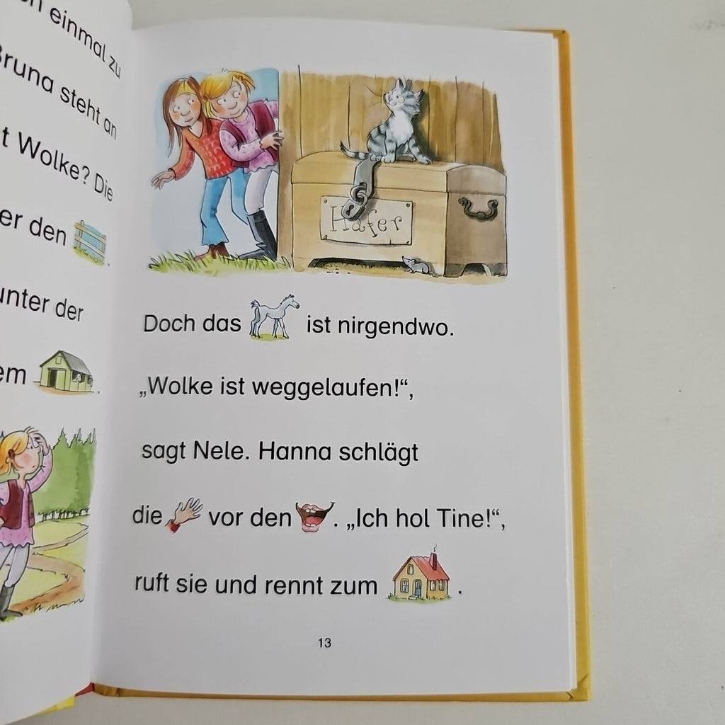 EB2174 Bildermaus - Geschichten vom Ponyhof1