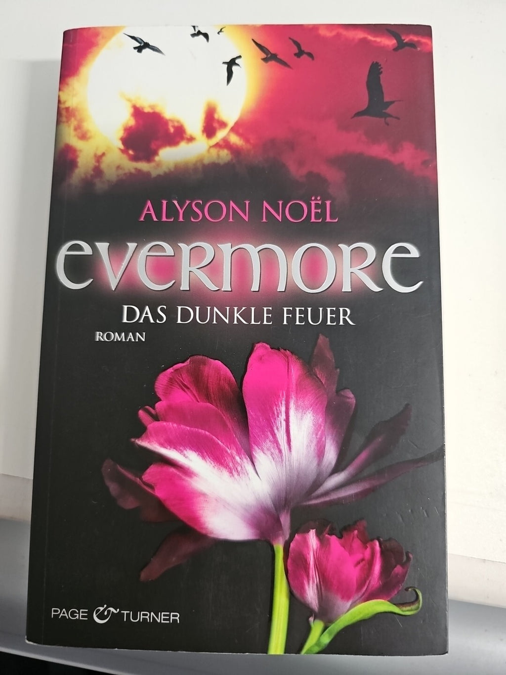 EB 552 Evermore, 4: Das dunkle Feuer - Roman von Noël, Alyson  Buch  Zustand gut0