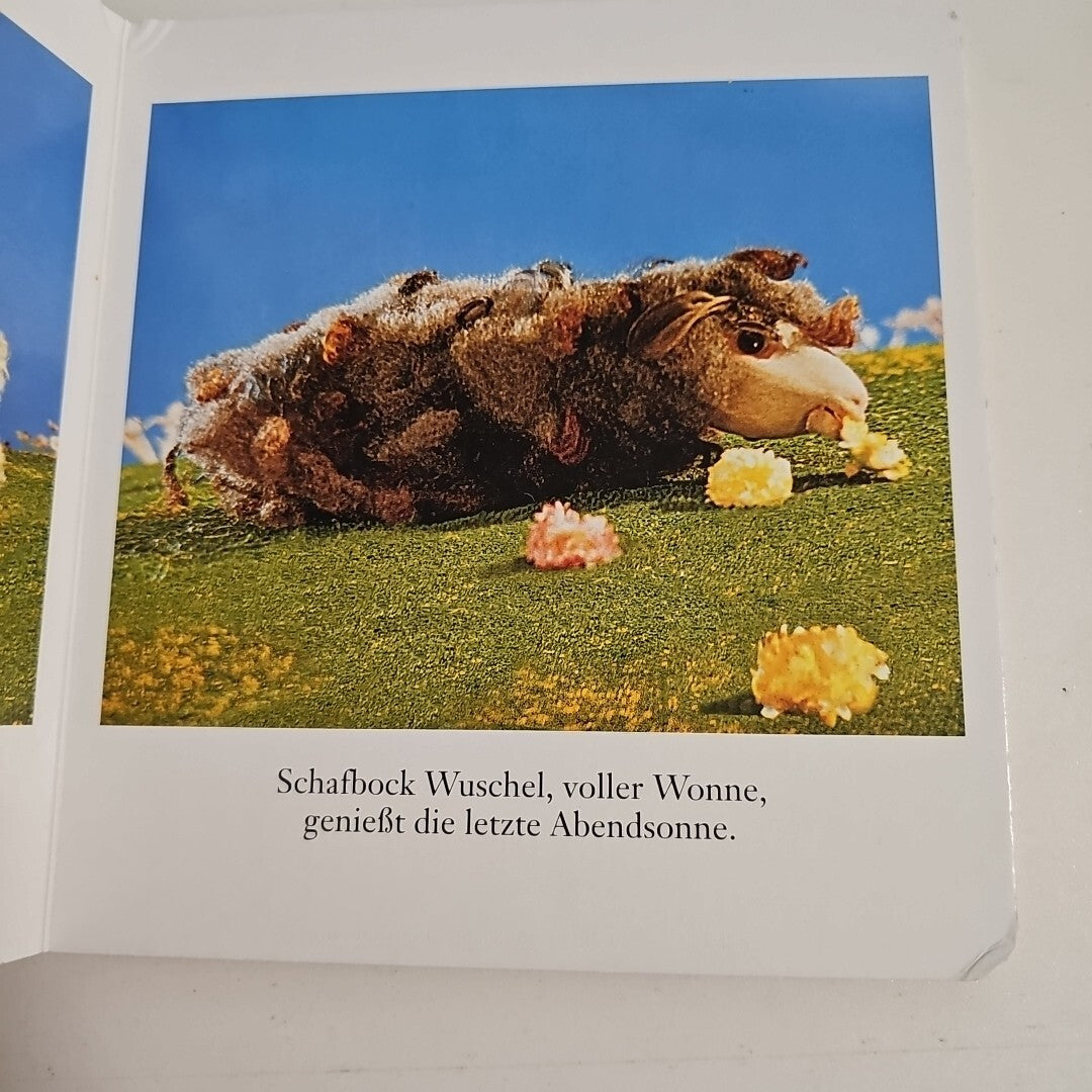 EB1760 Schäfchen zählen, Sandmännchen 1