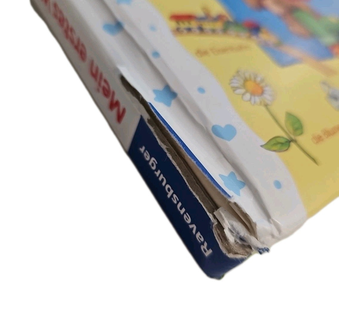 EB3841 Mein erstes Wörterbuch von Ravensburger 2