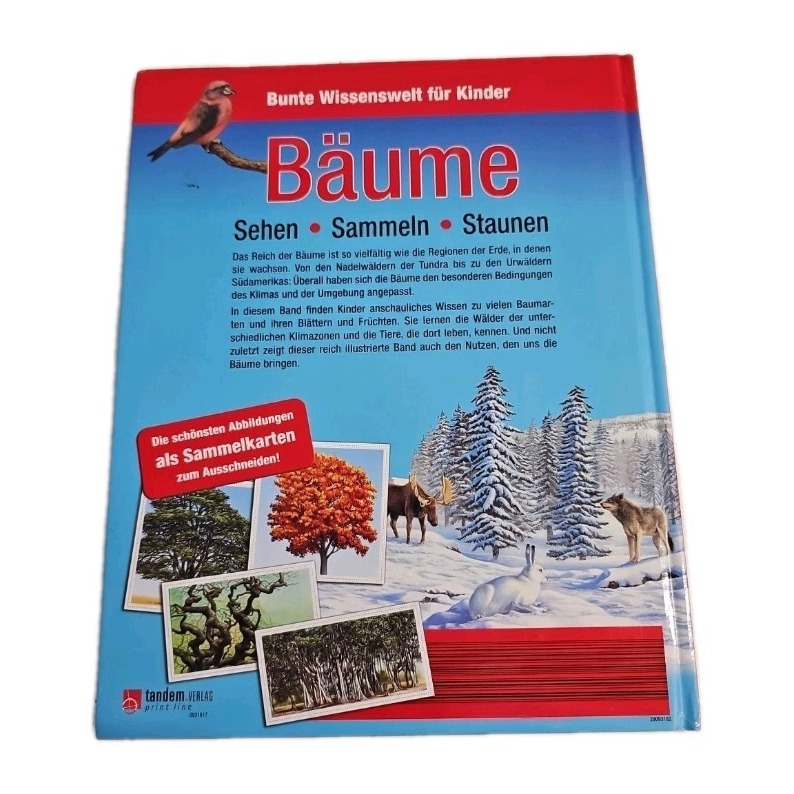 EB3768 Bunte Wissenswelt für Kinder- Bäume | Buch 1